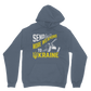 Send Weapons to Ukraine Classic Adult Hoodie